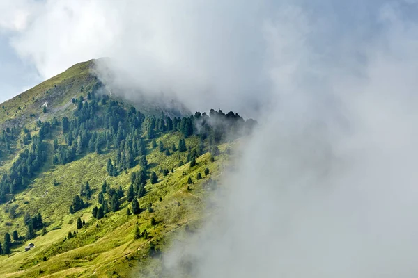 Val Gardena Mountains Valley Green Grass Trees Shot Clouds Italy — Stock Photo, Image