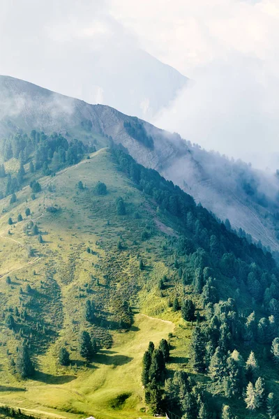 Val Gardena Bergen Dal Med Grönt Gräs Och Träd Sköt — Stockfoto