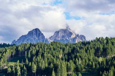 Dolomites dağlar sıcak sezonu. Ön plan yeşil orman. Belluno ili, İtalya