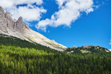 Dolomites dağlar sıcak sezonu. Ön plan yeşil orman. Belluno ili, İtalya