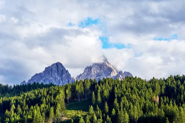 暖かい季節にドロマイトの山々 手前の緑の森 イタリアの美しさ — ストック写真