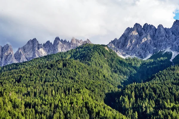 暖かい季節にドロマイトの山々 手前の緑の森 イタリアの美しさ — ストック写真