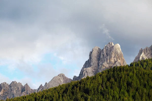 Sıcak Mevsimde Dolomite Dağları Yeşil Orman Planda Talya Güzelleri — Stok fotoğraf