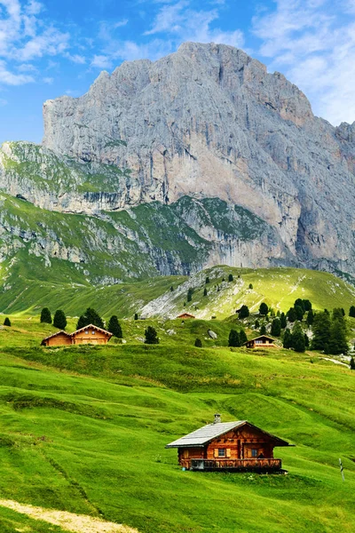 Seceda Montaña Con Césped Azul Cabañas Madera Primer Plano Italia — Foto de Stock