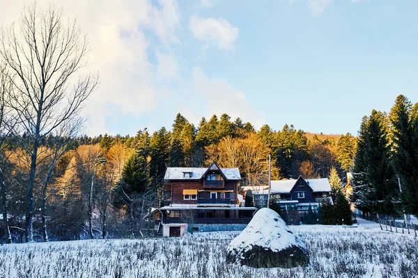 Sinaia wooden cottages in mountains. Forest on background. Romania