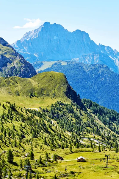 Giau Pass Grüner Wald Bei Tageslicht Italien — Stockfoto