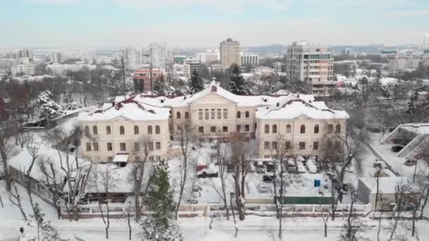 Pohled Vzdušné Dron Kaskády Žebřík Valea Morilor Parku Pod Sněhem — Stock video