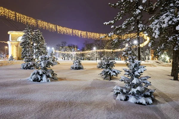 冬のシーズンには夜の中央公園 キシナウ モルドバ — ストック写真