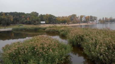 Valea morilor park ve göl reed Chisinau, Moldova ile hava dron görünümü