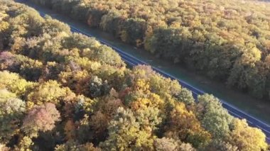 Yol arabalar ve orman Moldova hava dron görünümü