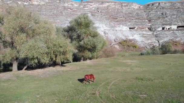 Vista Aérea Del Dron Del Caballo Rojo Orheiul Vechi Moldavia — Vídeos de Stock