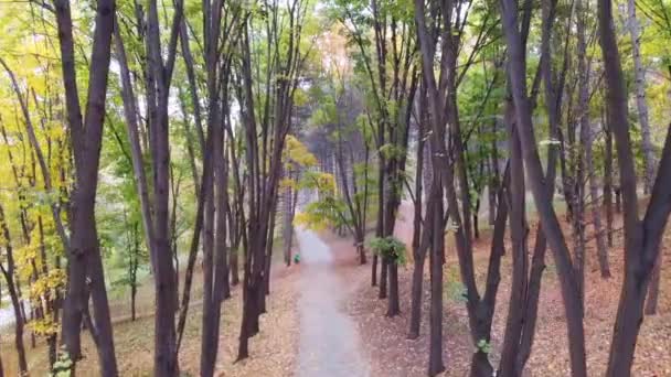 バレア Morilor キシナウ モルドバで緑の木々 と林道の空中ドローン ビュー — ストック動画