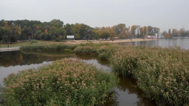 Vista Aérea Del Parque Lago Valea Morilor Con Caña Chisinau — Vídeos de Stock