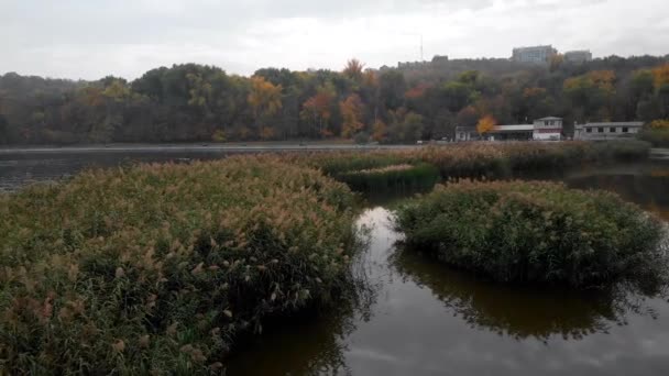 Veduta Aerea Drone Valea Morilor Parco Lago Con Canna Chisinau — Video Stock