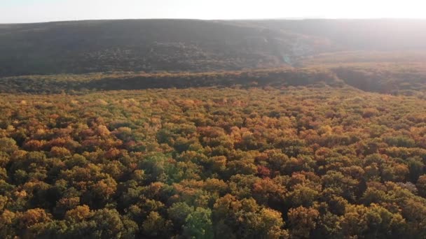 Luchtfoto Drone Uitzicht Herfst Bos Moldavië — Stockvideo