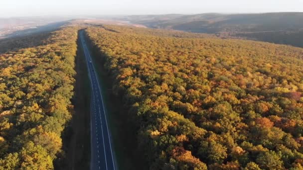 Vista Aérea Drone Estrada Com Carros Floresta Moldávia — Vídeo de Stock