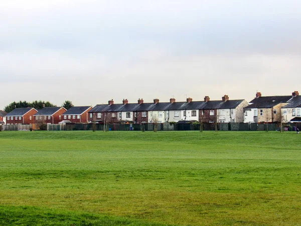 Huizen op een groen veld — Stockfoto