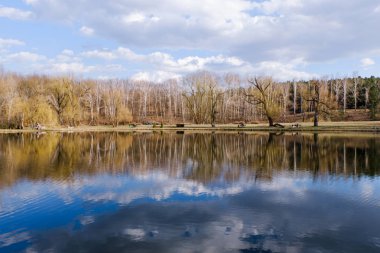 bir parkta baharın başlangıcı
