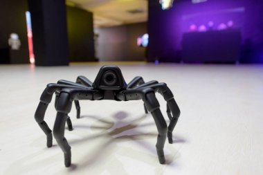 siyah robot örümcek