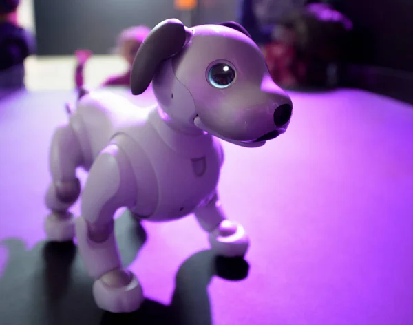 Un piccolo cane robot — Foto Stock