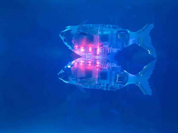 Un robot poisson dans un aquarium — Photo