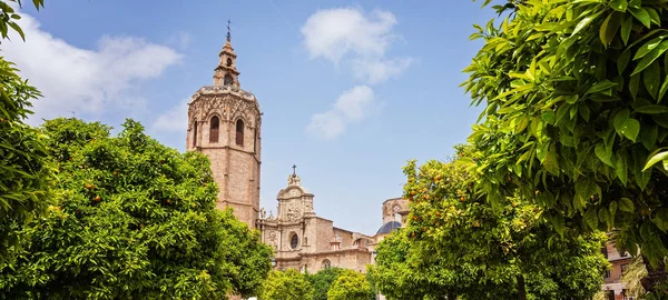 Parco vicino alla Cattedrale di Valencia — Foto Stock