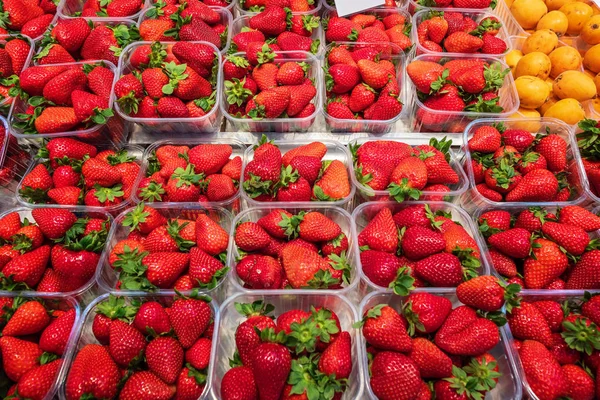 Smakelijke rode aardbeien op de markt — Stockfoto