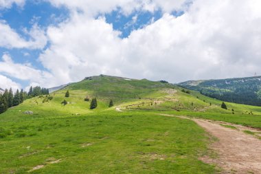 Bir ovanın manzara çekimi