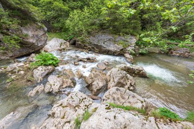 Karpat Dağlarında akan nehir