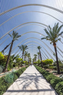 Sanat ve Bilim Şehri'nde Umbracle