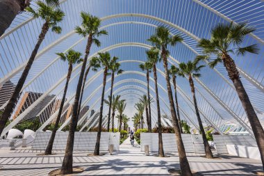 Sanat ve Bilim Şehri'nde Umbracle
