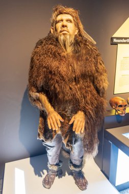 Sanat ve Bilim Şehri'nin iç sergileri