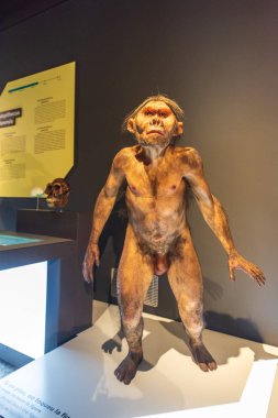 Sanat ve Bilim Şehri'nin iç sergileri