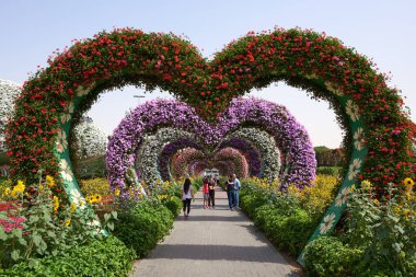 Miracle Garden'da Renkli Kalp şeklinde çiçekler