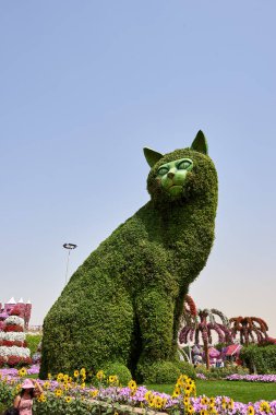 Renkli çiçekler ve ağaçlar ile Mucize Bahçe