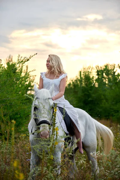 Flicka i vit klänning ridning en häst i fältet — Stockfoto