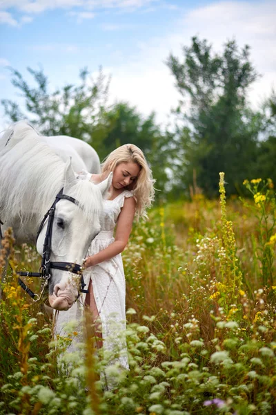Flicka i vit klänning som håller en häst i fält — Stockfoto