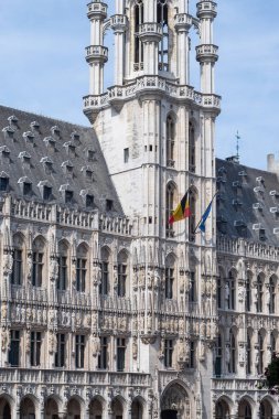 Grand Place'deki eski ortaçağ binaları, Brüksel, Belçika