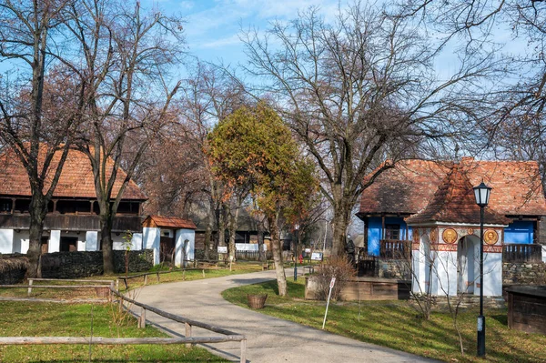 Bucharest Roemenië Januari 2020 Landelijke Huizen Het Nationaal Museum Van — Stockfoto