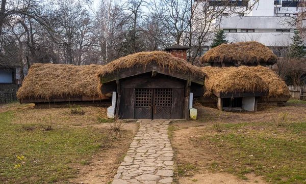 Bucharest Romania Janeiro 2020 Casas Rurais Madeira Museu Nacional Aldeia — Fotografia de Stock