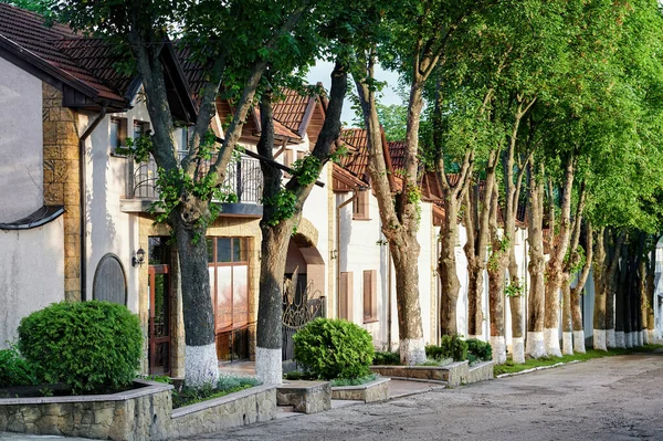Вулиця Повна Зелень Рядом Будинків Коюшні Молдова — стокове фото