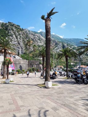 KOTOR, MONTENEGRO - 5 Temmuz 2019: Yüksek palmiyeler ve yürüyen insanlarla dolu kare, arka planda kayalık tepeler
