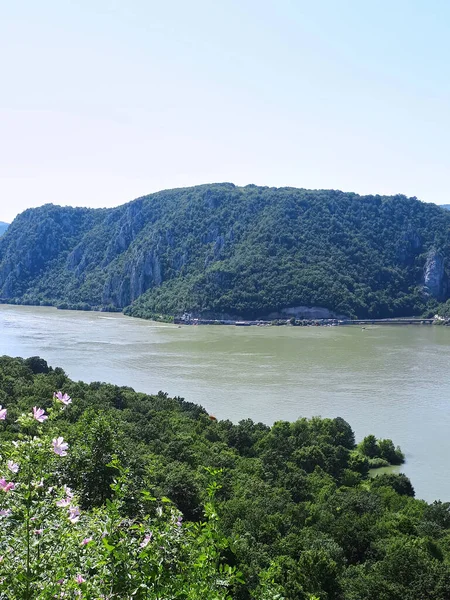 Dunaj Skalistymi Brzegami Pokrytymi Bujnymi Drzewami — Zdjęcie stockowe