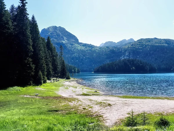 Lago Negro Con Abetos Altos Cerca Montañas Colinas Fondo Montenegro —  Fotos de Stock
