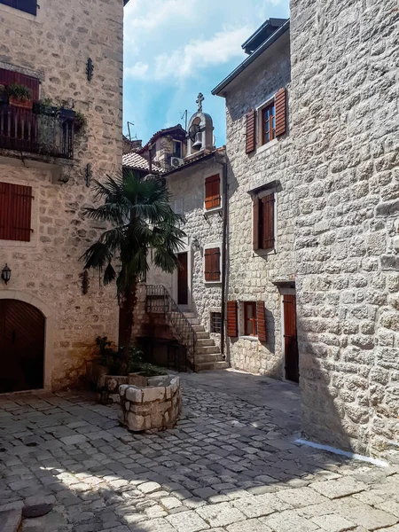 Una Calle Kotor Con Viejos Edificios Piedra Una Palmera Creciendo — Foto de Stock