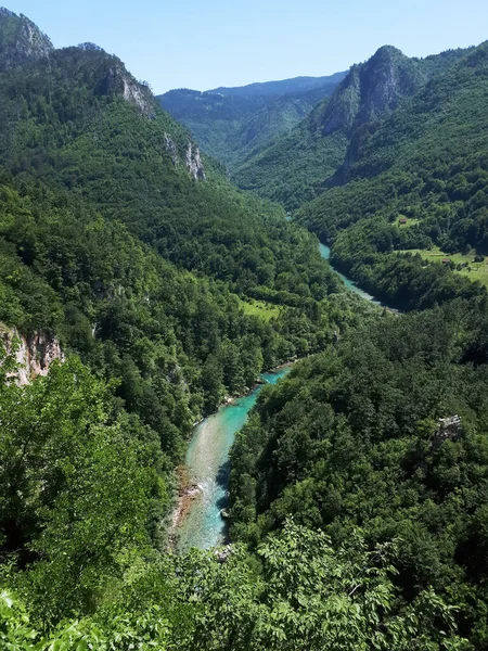 Rzeka Tara Płynąca Kanionie Pomiędzy Wzgórzami Pokrytymi Bujną Zielenią Czarnogórze — Zdjęcie stockowe