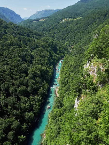 Fiume Tara Scorre Canyon Tra Colline Ricoperte Verde Lussureggiante Montenegro — Foto Stock