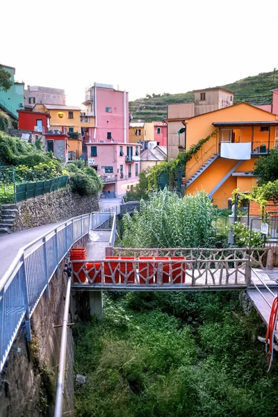Streetscape Cinque Terre Colorful Houses Narrow Streets Full Greenery Italy — Stock Photo, Image