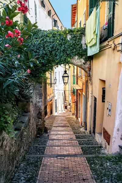 Strade Strette Pietra Con Facciate Vecchi Edifici Lungo Essa Verde — Foto Stock