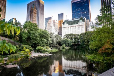 The Pond in Central Park 'ta The Plaza Hotel ve New York, ABD' de arka planda birden fazla bina var. Canlı renkler